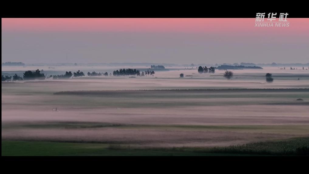 安徽阜陽：莊臺上的秋日晨曲