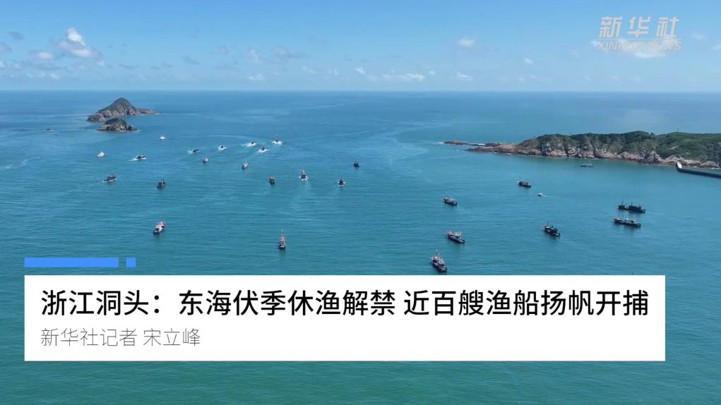 浙江洞頭：東海伏季休漁解禁 近百艘漁船揚帆開捕
